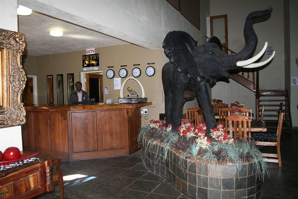 Ivory Tusk Lodge Тзанеен Экстерьер фото
